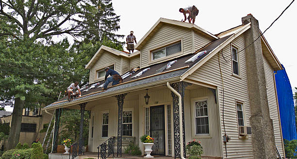 Best Gutter Installation and Roofing  in Brownsville, OR